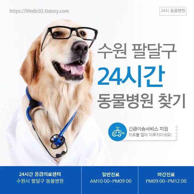  팔달구 24시간 동물병원 근처 야간 일요일 고양이 병원 찾기