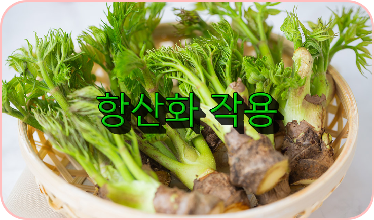 항산화 작용