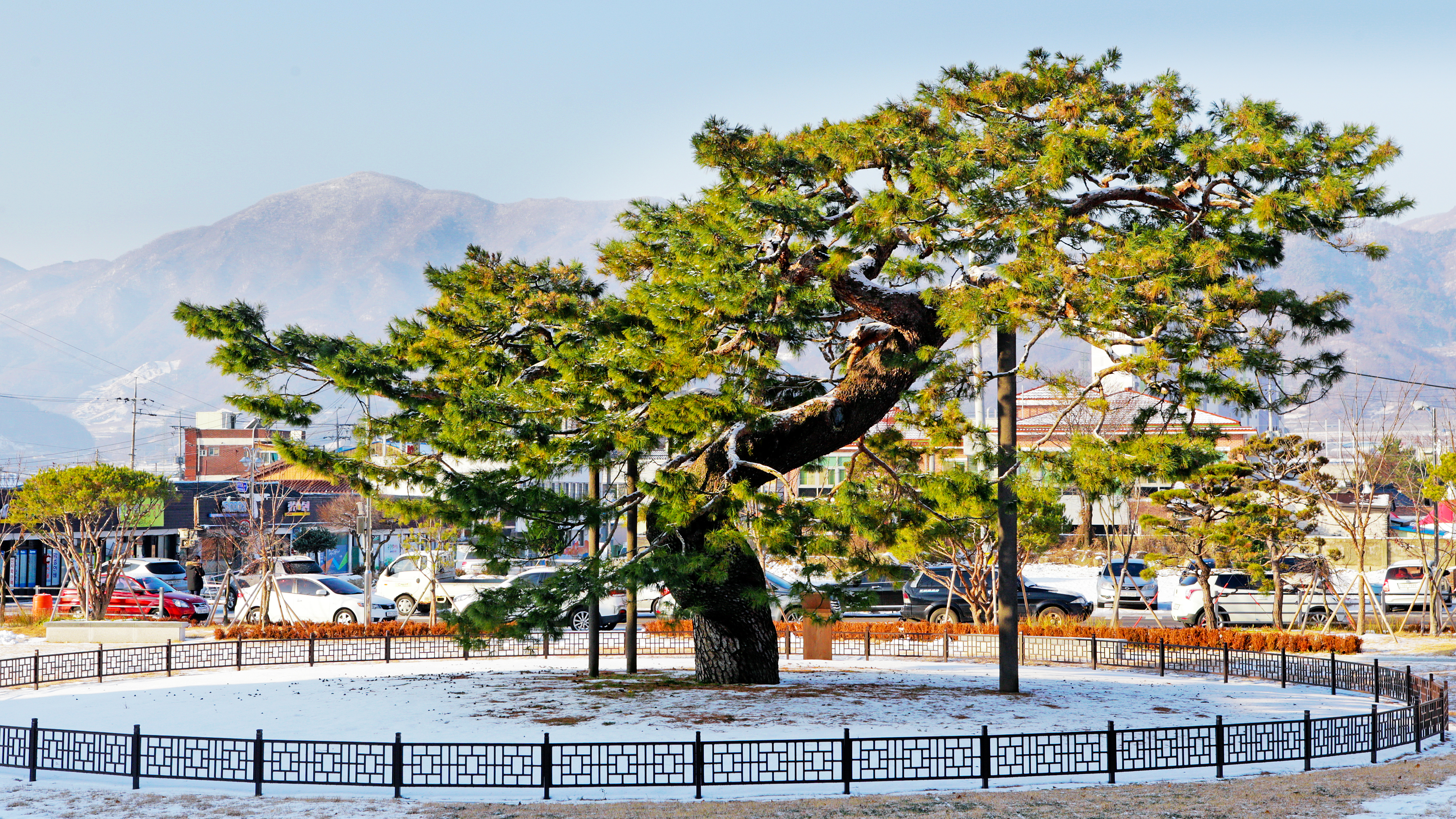 장수군청 이미지