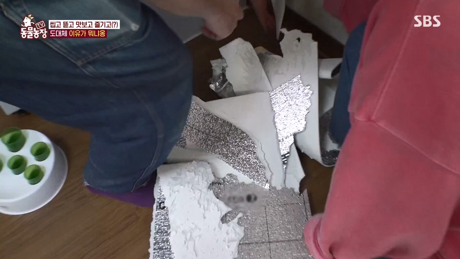 TV 동물농장.E1162.240310p-NEXT.mp4_20240310_162852.119.jpg