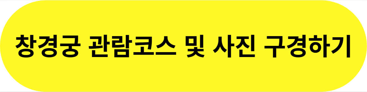 창경궁 야간개장
