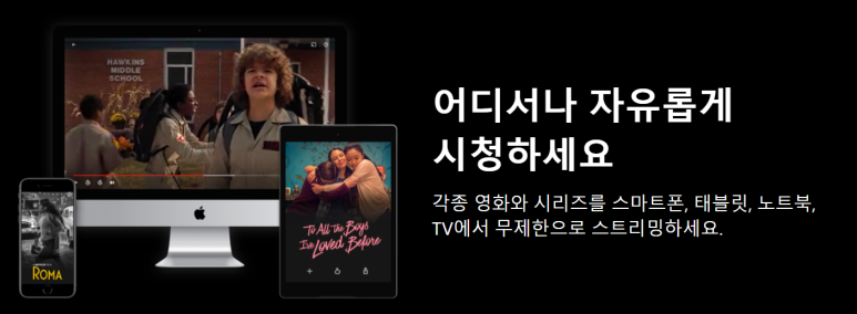 넷플릭스가 애플의 비전프로에 앱 제공을 하지 않기로 결정 4 img