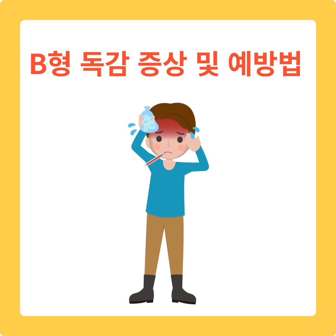  B형 독감 증상 및 예방법 알아보기