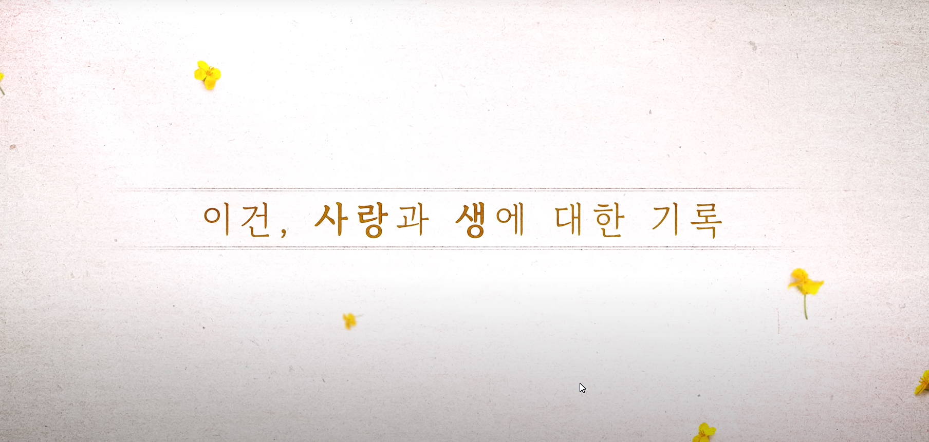 chrome_Hkkm8SiMh0.png