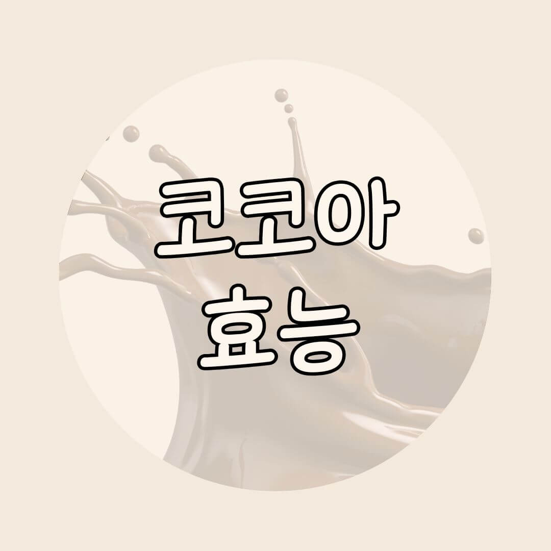 코코아 효능