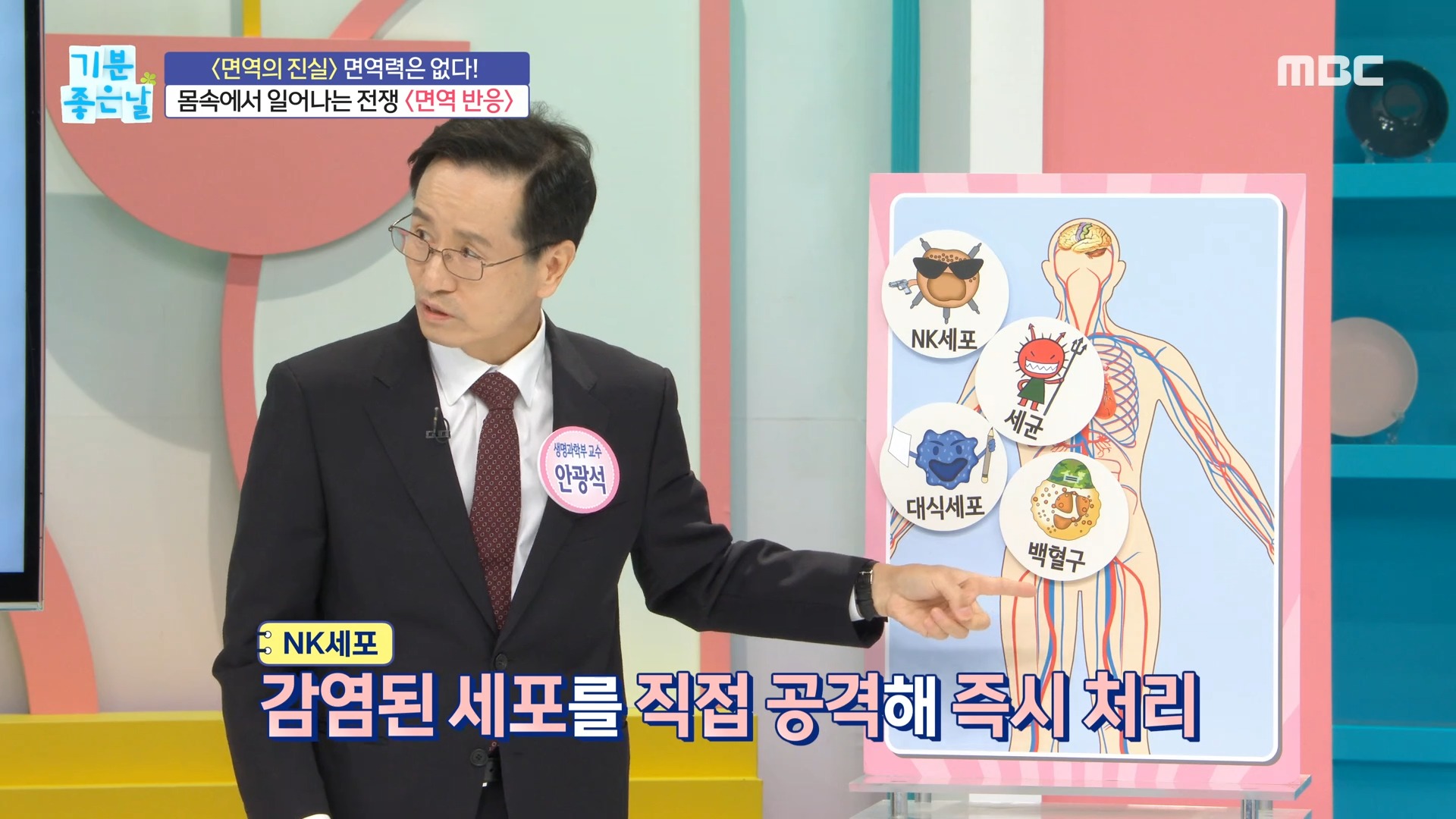  기분 좋은 날 NK세포 면역 조절력 향상 자가 면역 질환 류마티스 관절염 크론병 궤양성 대장염 알레르기 비염 장 면역 /코 면역 유산균 효능 효과 면역 사수 건강법 면역 진실과 오해 면역 조절..