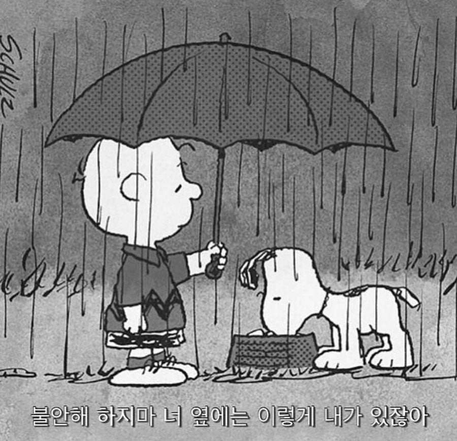 청소이야기 이미지
