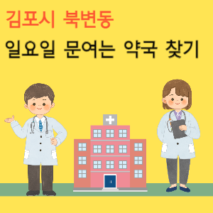 김포시 북변동 일요일 문여는 약국 찾기