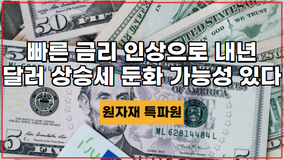  [국제시황] 연준의 빠른 금리 인상으로 내년에 달러 상승세가 둔화될 수 있다