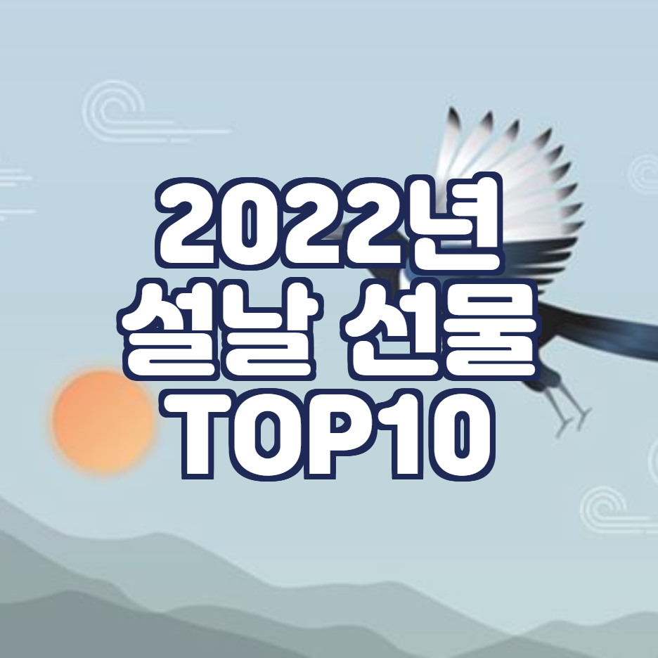  2022  부모님이 뽑은 설날 최고의 선물 TOP10은?
