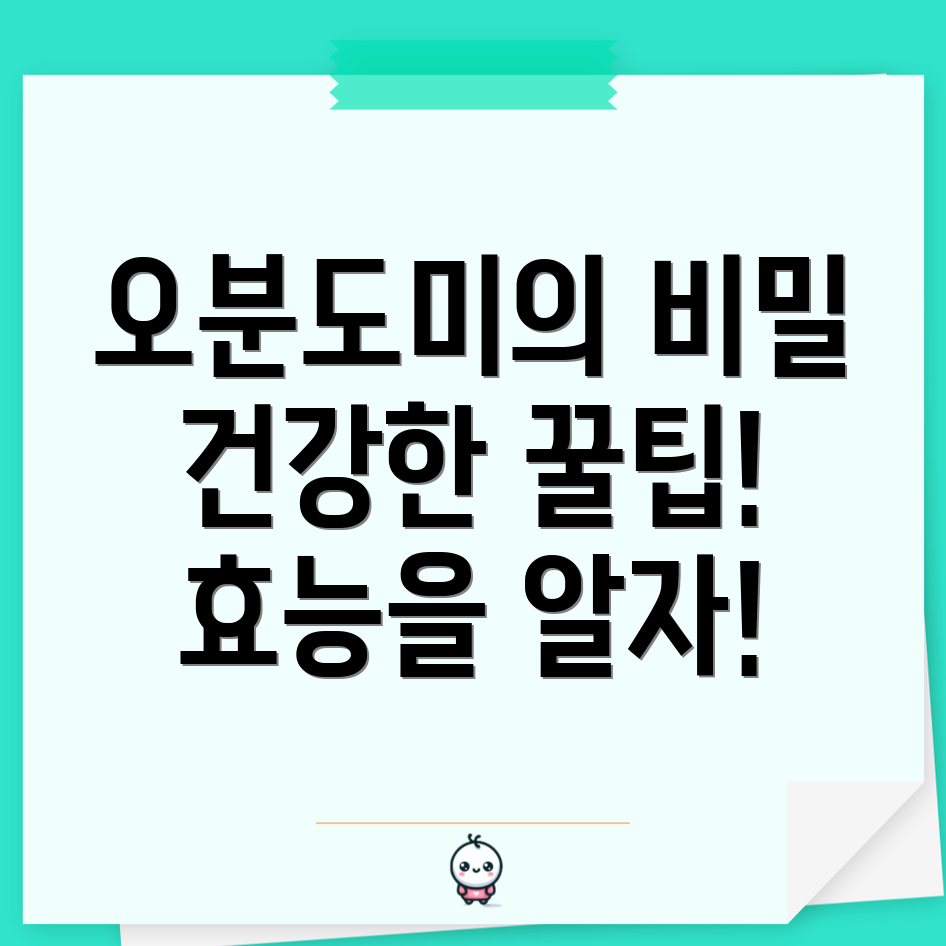 오분도미