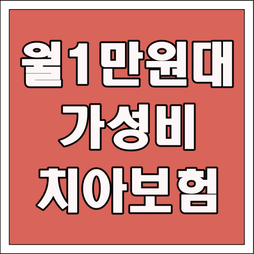 월 1만원대 가성비 치아보험 글씨 썸네일
