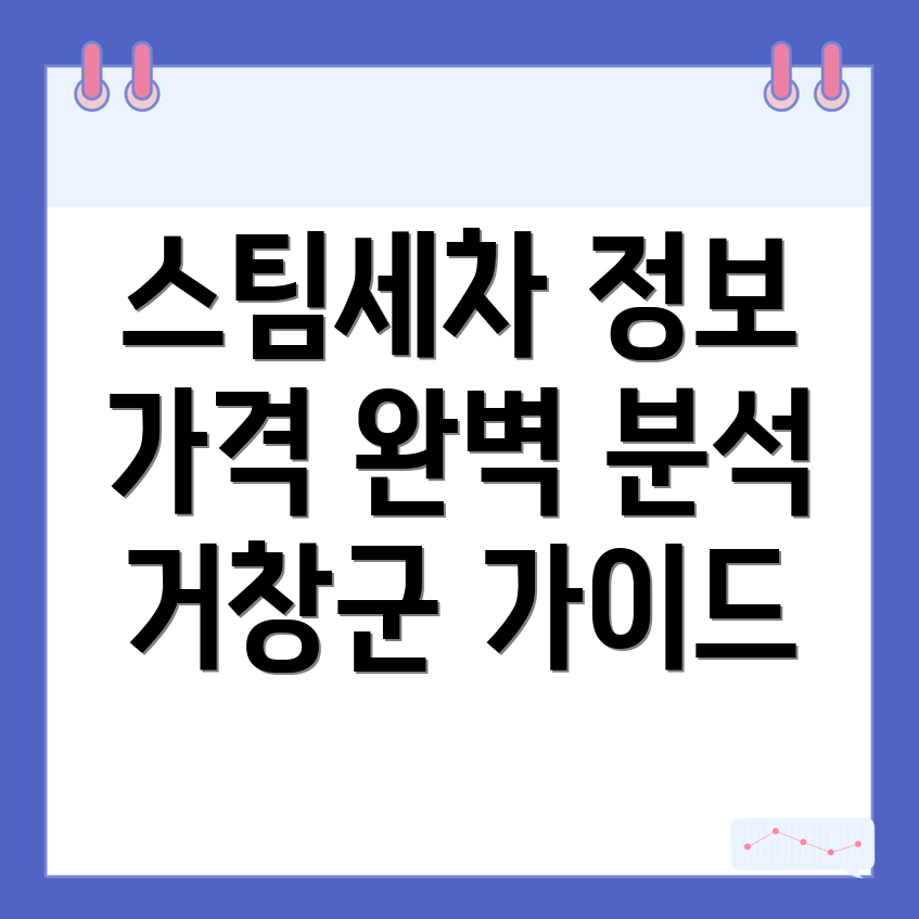 스팀세차