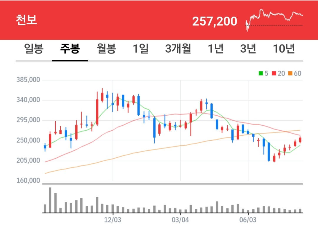 천보 주식 차트