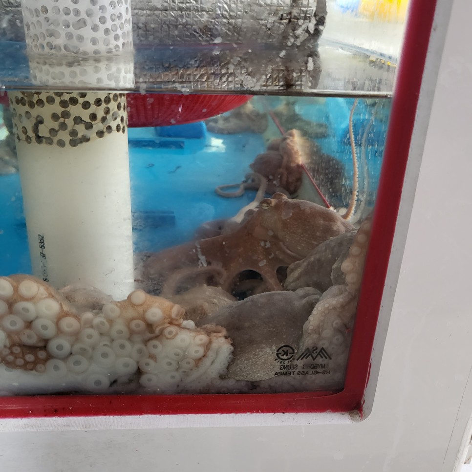 [신안동 맛집] 설하원 맛집입니다. 22