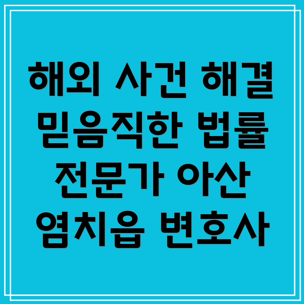 국제법 변호사