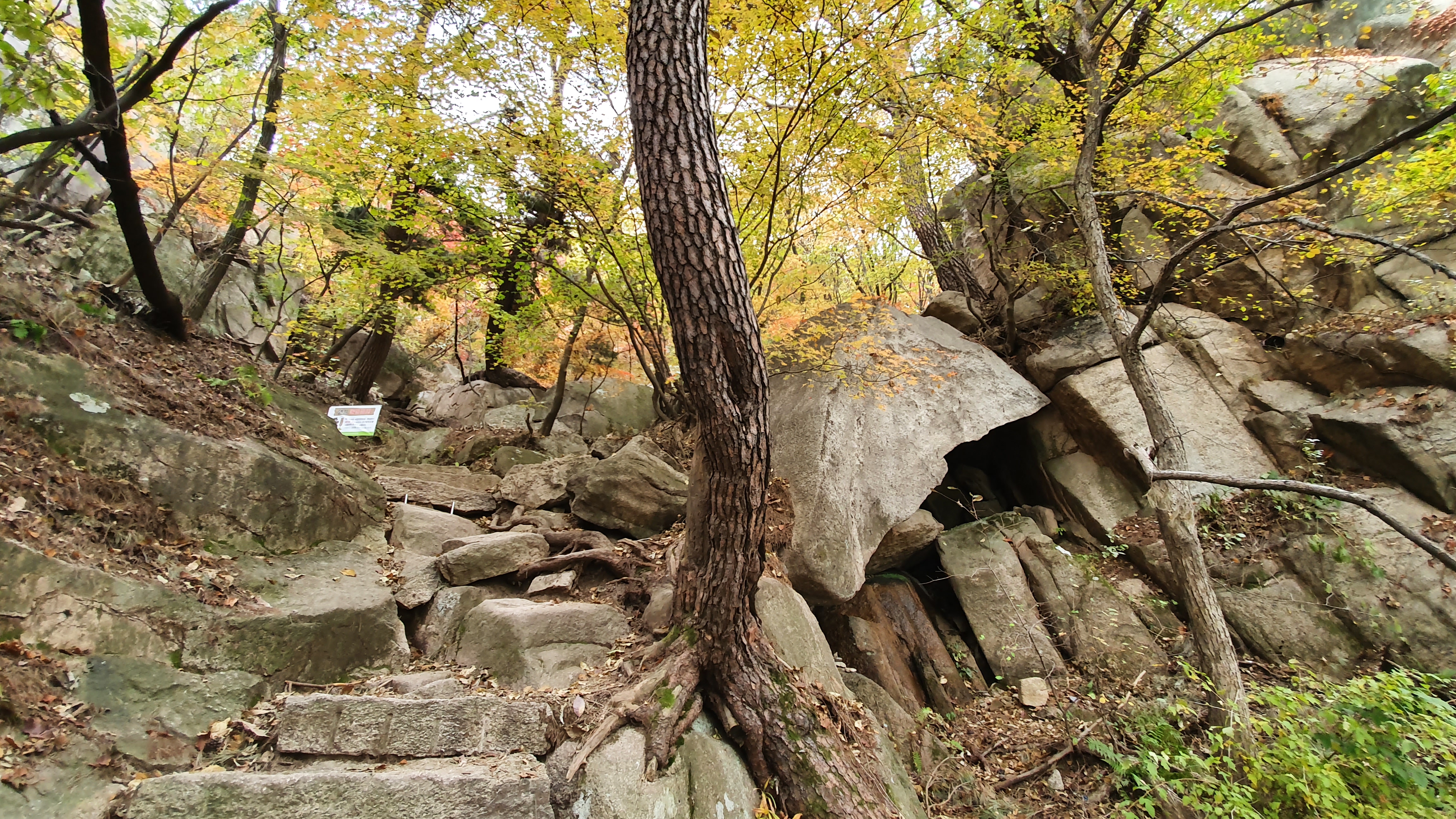 북한산 (2020-10-21) 40