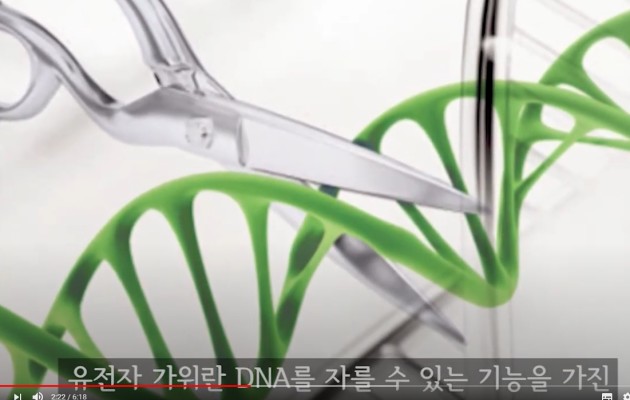  노벨화학상 받은  유전자가위
