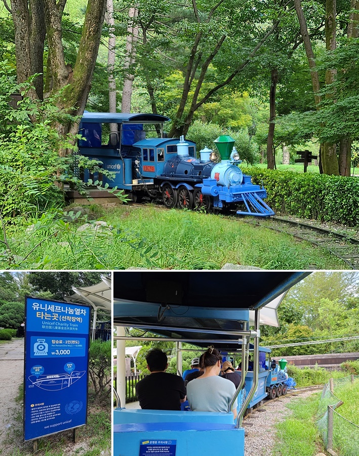 가평 남이섬 짚라인 가평 가볼만한곳 데이트 코스 27