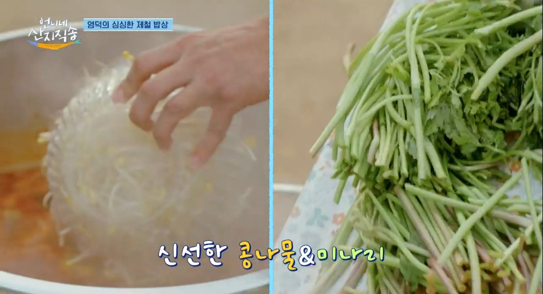 언니네산지직송 대구매운탕 레시피(배우 박준면 레시피)