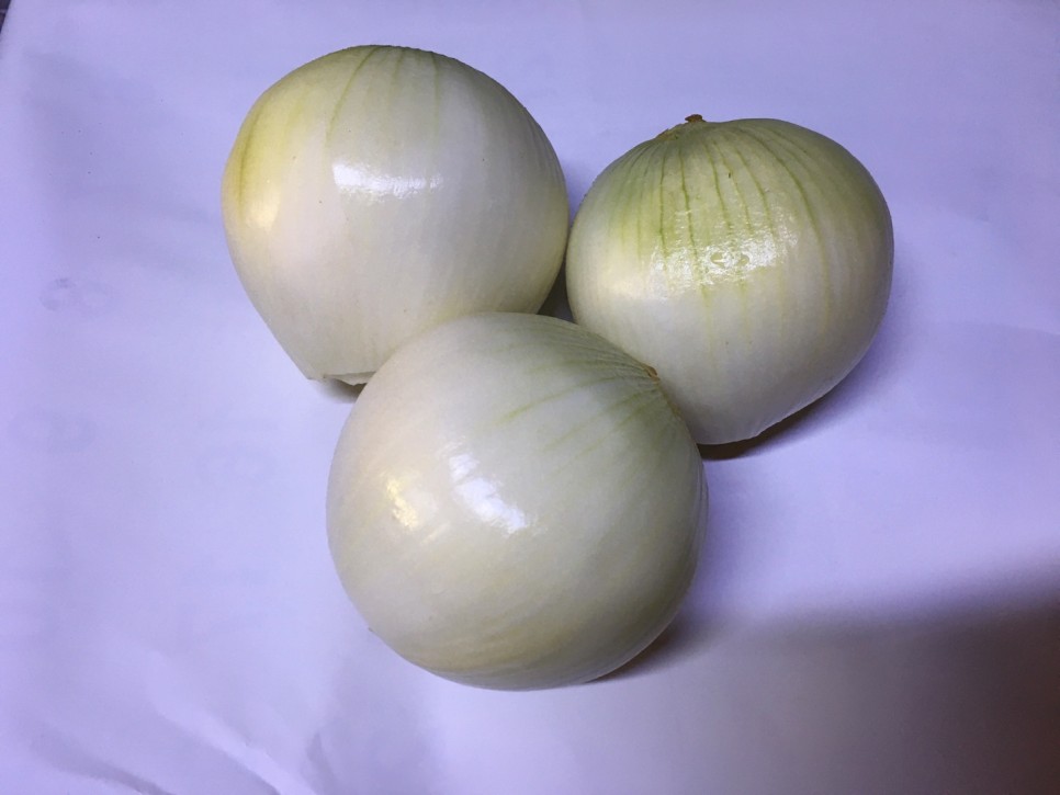신미 업소용 양파 20kg 15kg 5kg 2kg 껍질을 벗긴 양파 10