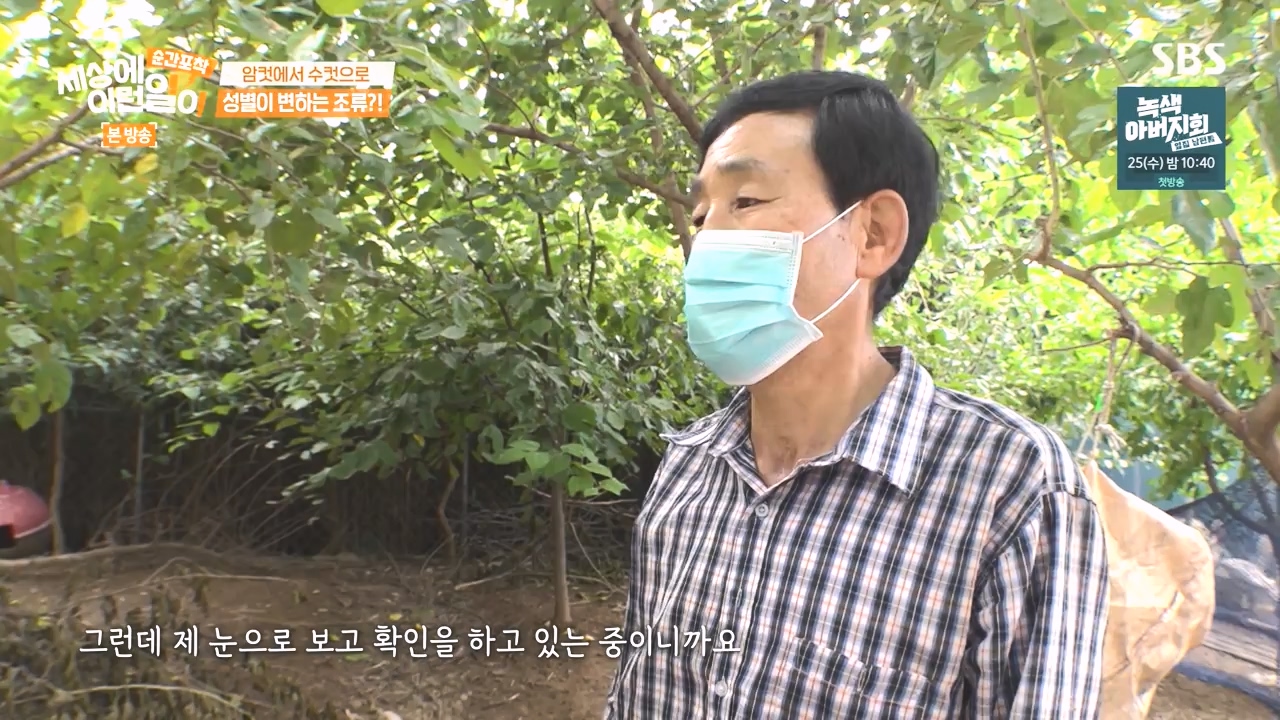 순간포착 세상에 이런일이.E1248.231015p-NEXT.mp4_20231015_164801.060.jpg
