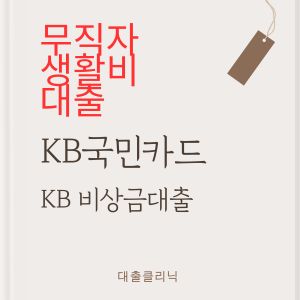 KB국민카드 KB 비상금대출