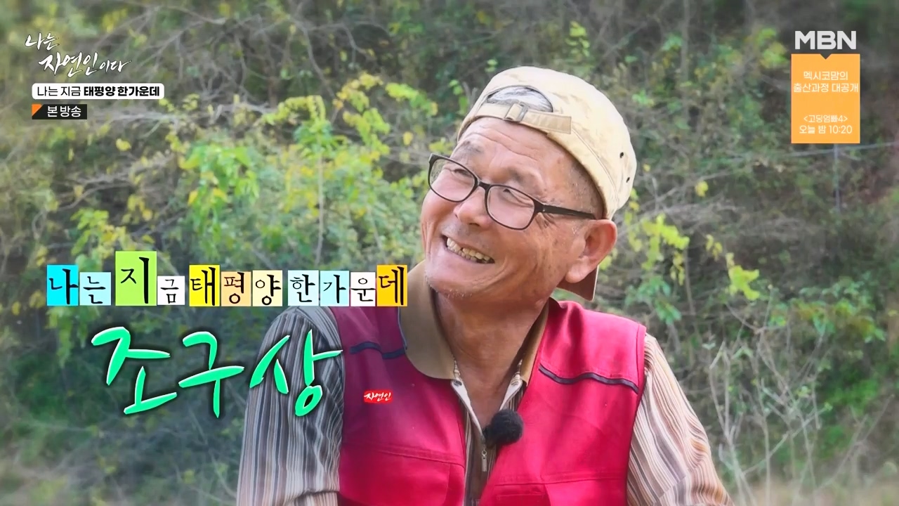 나는 자연인이다.E581.231123p-NEXT.mp4_20231123_193839.317.jpg