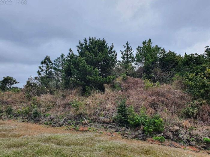 제주도 토지경매 임야경매 서귀포시 8