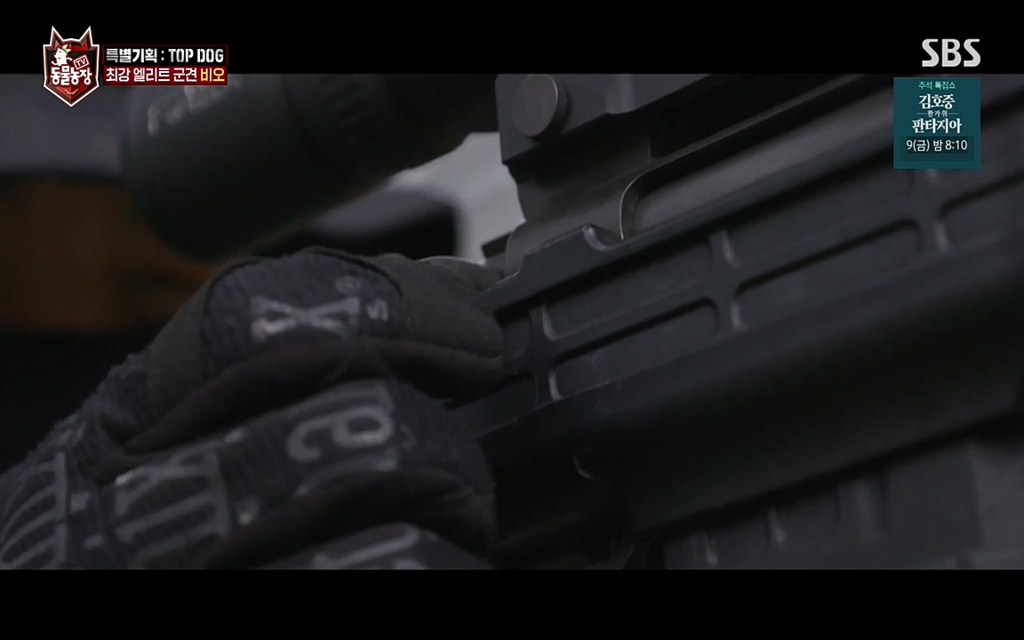 TV 동물농장.E1085.220905p-NEXT.mp4_20220904_173543.368.jpg