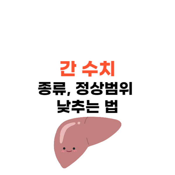 간 수치 종류와 낮추는 법 &#39;간 수치 정상범위 확인&#39;