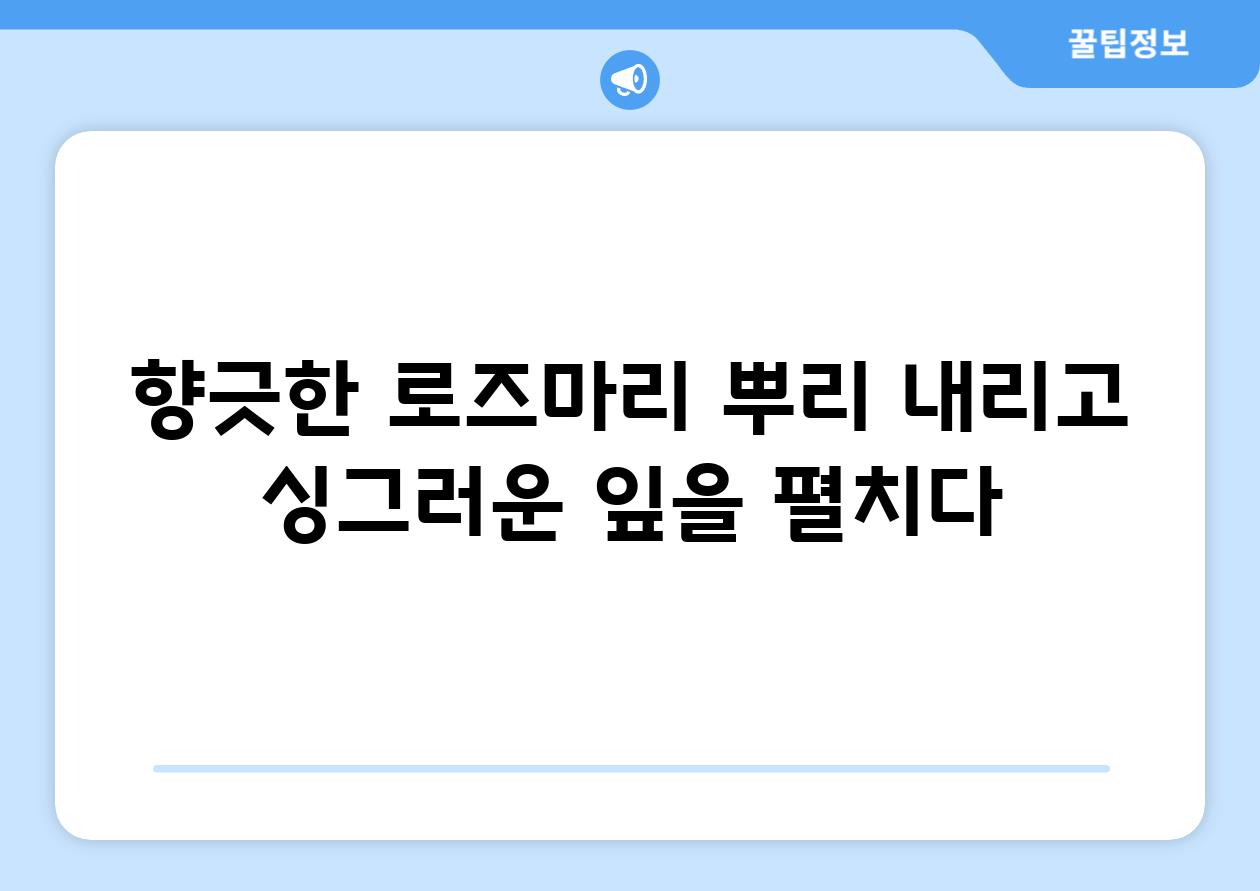 향긋한 로즈마리 뿌리 내리고 싱그러운 잎을 펼치다