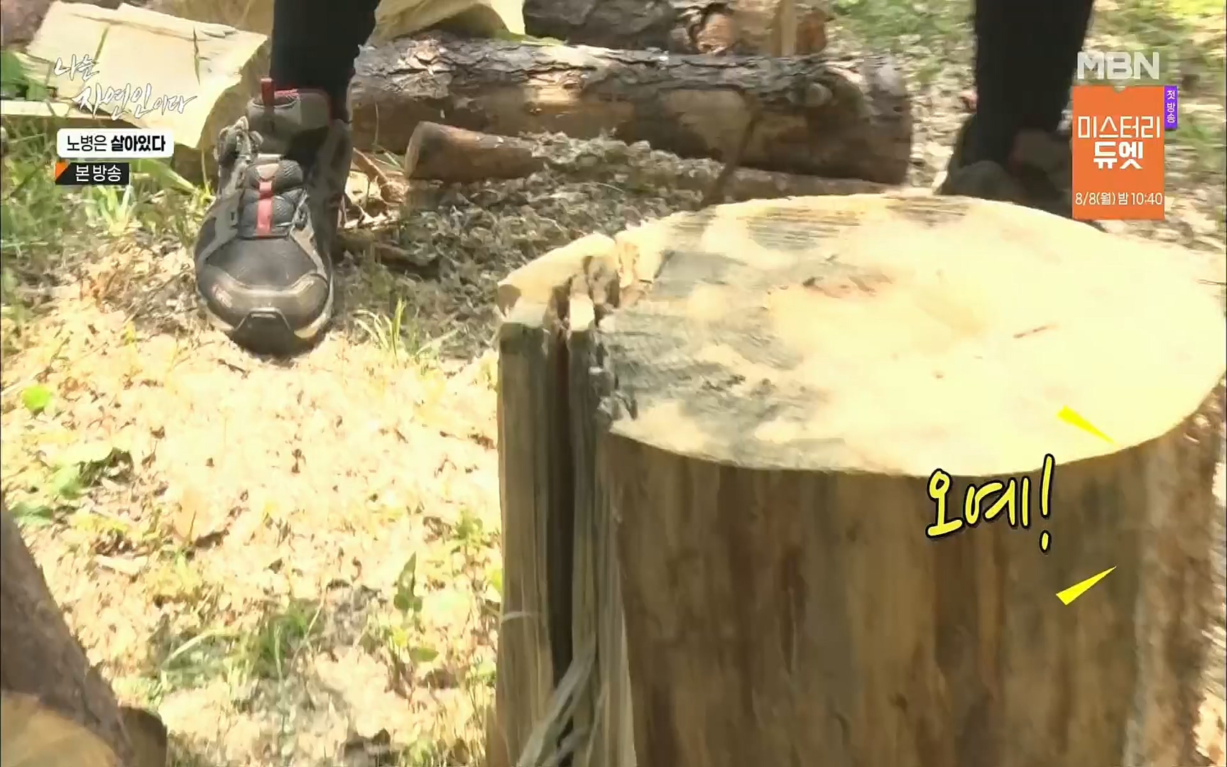 나는 자연인이다.E512.220727p.H264-F1RST.mp4_20220728_200917.615.jpg