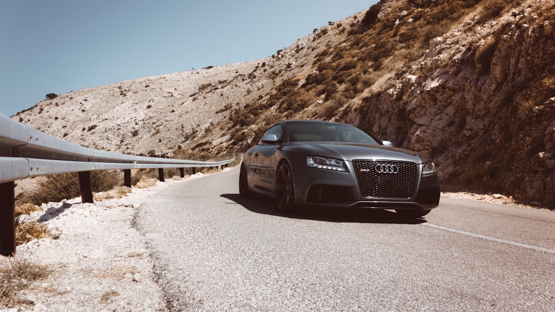 International Driving Permit