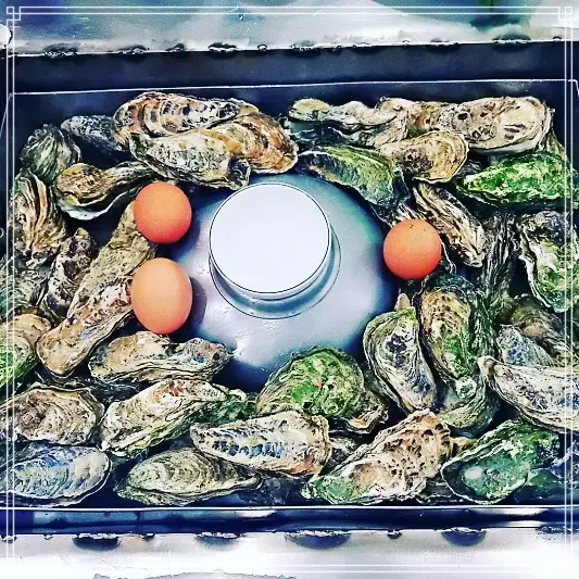  맛있는 녀석들 석화찜 인천 구월동 가게 459회 굴라잡이 메뉴 추천 굴찜, 굴국밥 가격 위치 어디