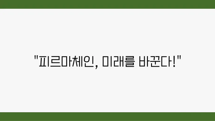 피르마체인(FCT2) 개요와 향후 전망