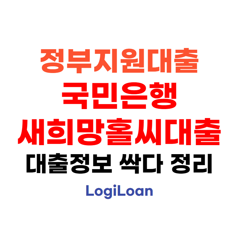 정부지원대출국민은행새희망홀씨대출