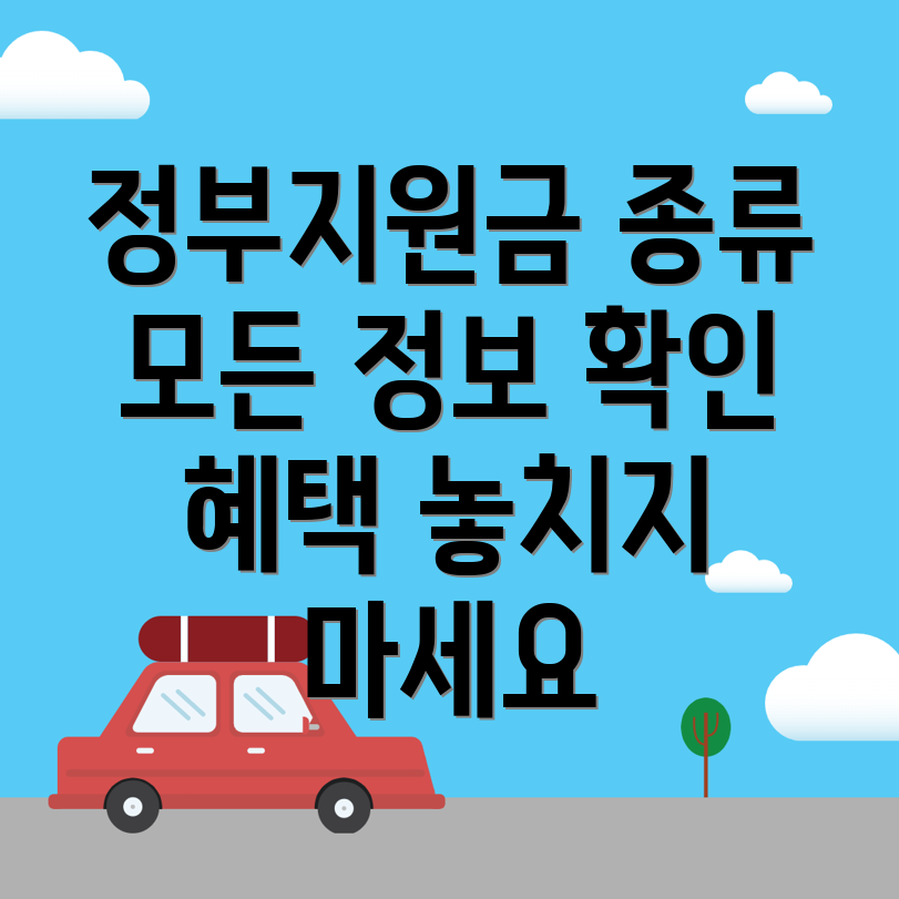 정부지원금