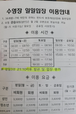  마포아트센터 자유수영 후기
