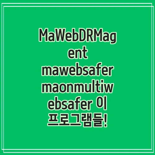 MaWebDRMagent mawebsafer maonmultiwebsafer 이 프로그램들!