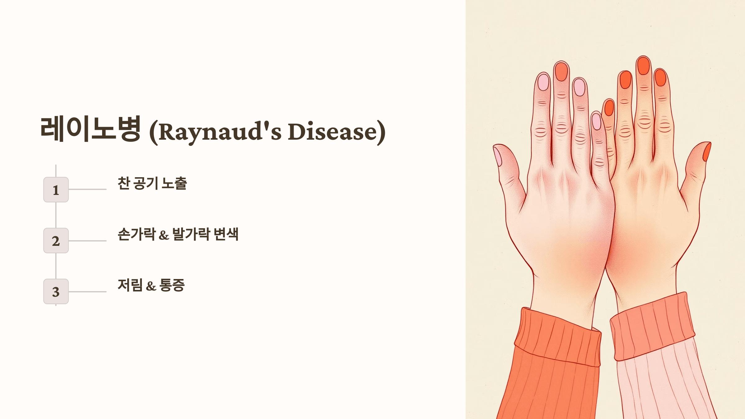 손발 사진입니다.