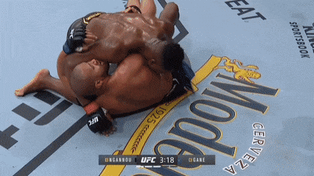 ufc UFC 270 은가누 vs 간 & 33