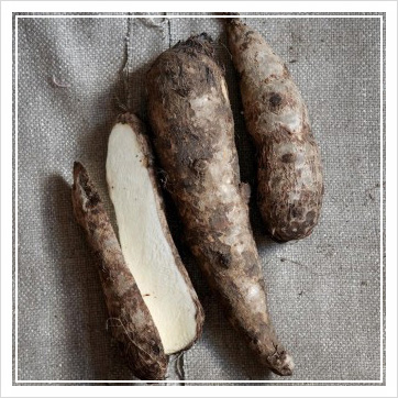 마즙 효능 부작용, 소화 잘되는 음식 8