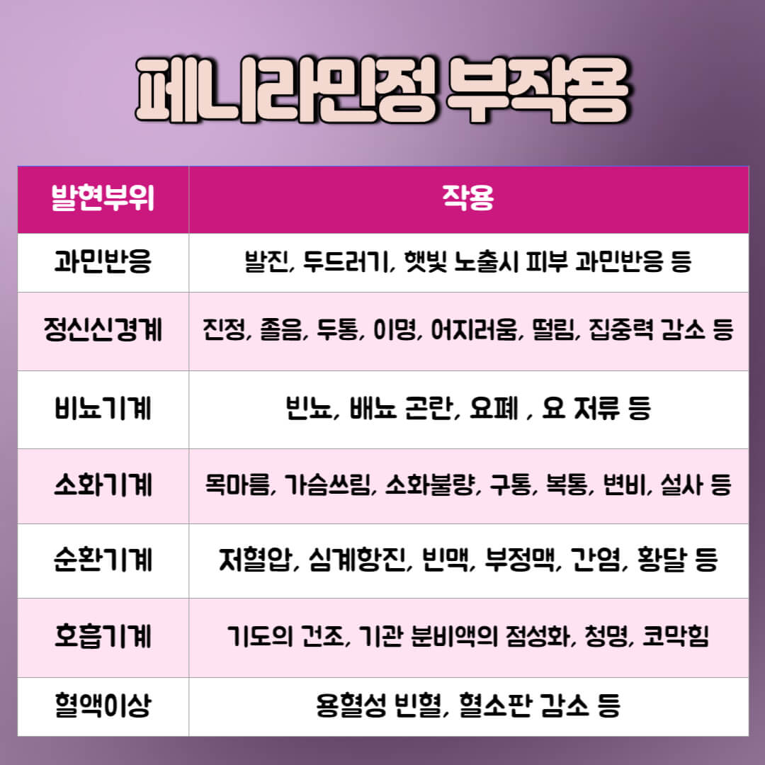 페니라민정 부작용