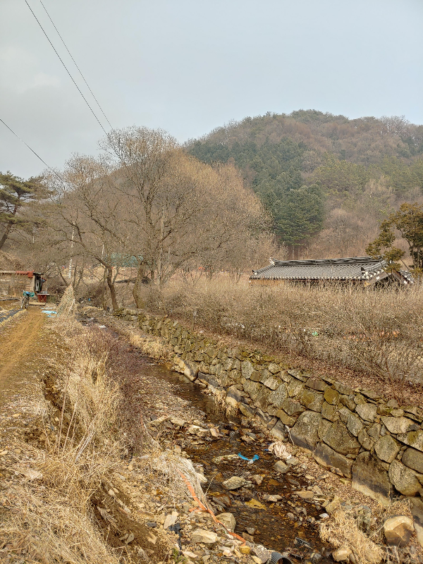 괴산-아부지-집 근처-텃밭-가는-길