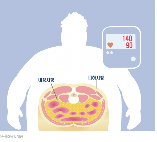 내장지방의 역할과 복부비만 예방법