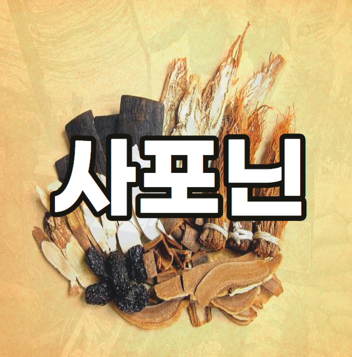 사포닌-효능-음식-부작용-식물-독성-성분