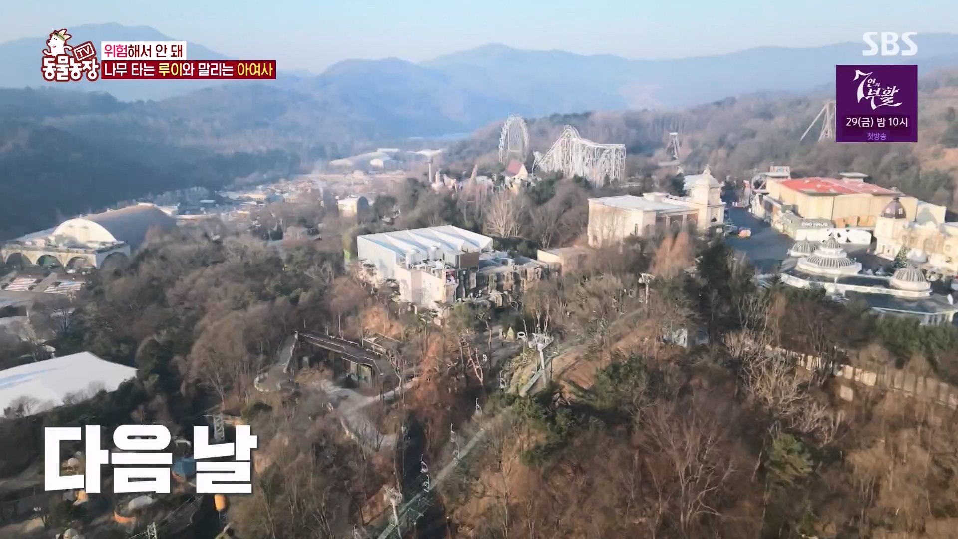 TV 동물농장.E1163.240317p-NEXT.mp4_20240317_171058.708.jpg