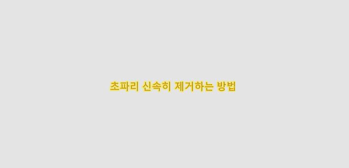  초파리 신속히 제거하는 방법