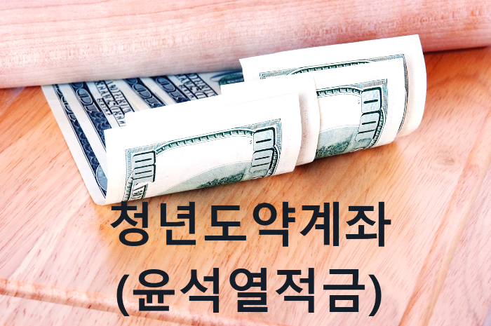 청년도약계좌(윤석열적금)